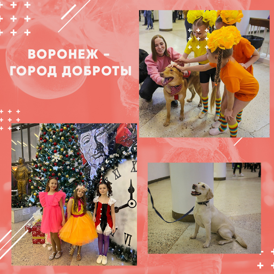 Воронеж - город доброты